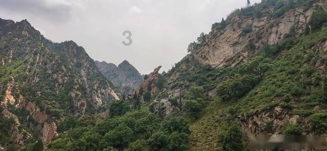 贵州毕节七星关区：为民办实事有“温度” 让主题教育有“深度”